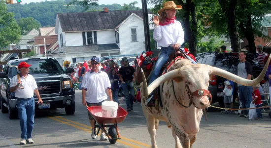 Sancho the longhorn: A rider in a cowboy hat on a longhorn steer in the parade